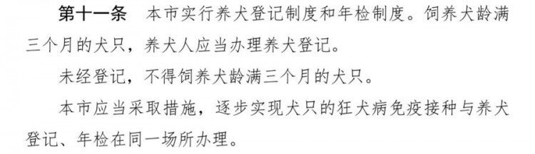 买来的宠物竟是斗牛犬！禁养犬在上海销售渠道广泛办证还有套路